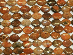Red Fossil Coral Horse Eye 15X20Mm
