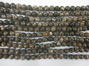 Turritella Agate Beads 4Mm
