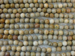 Fossil Coral Round Beads 10Mm