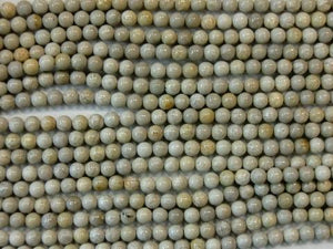 Fossil Coral Round Beads 8Mm
